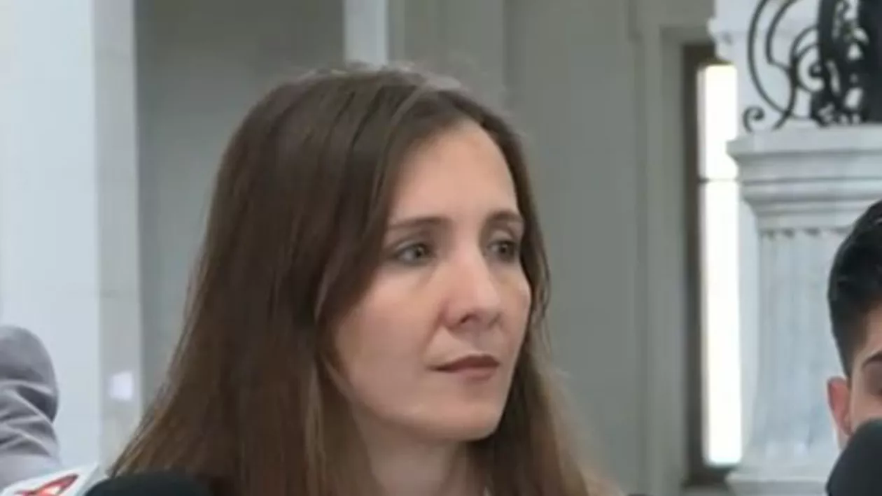 Ana-Maria Nedelcu va afla dacă va fi extrădată în Canada: Sper ca judecătorul să trateze cazul fără niciun orgoliu. În America mă așteaptă numai discriminare (VIDEO)