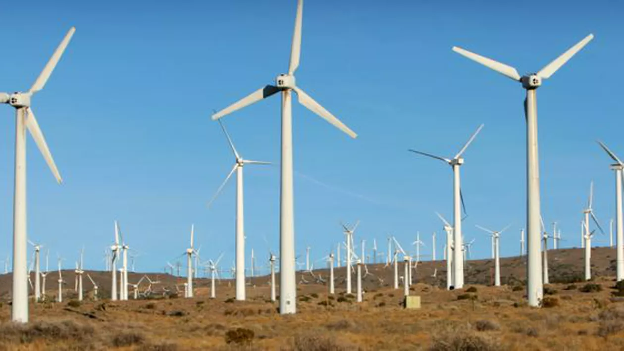 Importăm energie electrică precum importăm roșii. România a ajuns să importe energie și când stau eolienele
