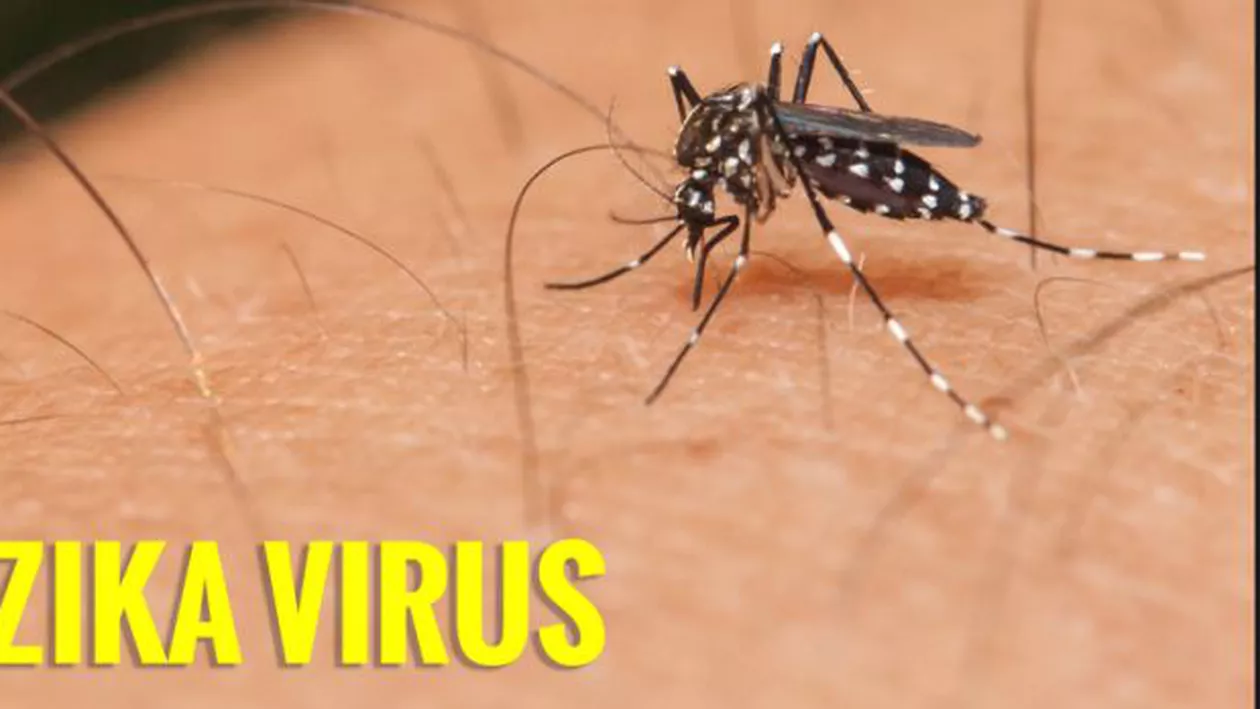 Un pacient cu virusul Zika va putea fi diagnosticat în aproximativ trei ore cu ajutorul unui aparat ieftin