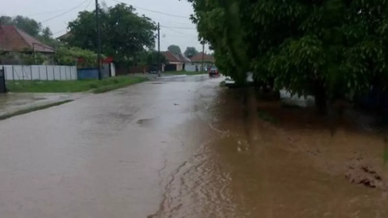 Bacău: 211 gospodării din patru comune și două orașe au fost afectate de ploile abundente