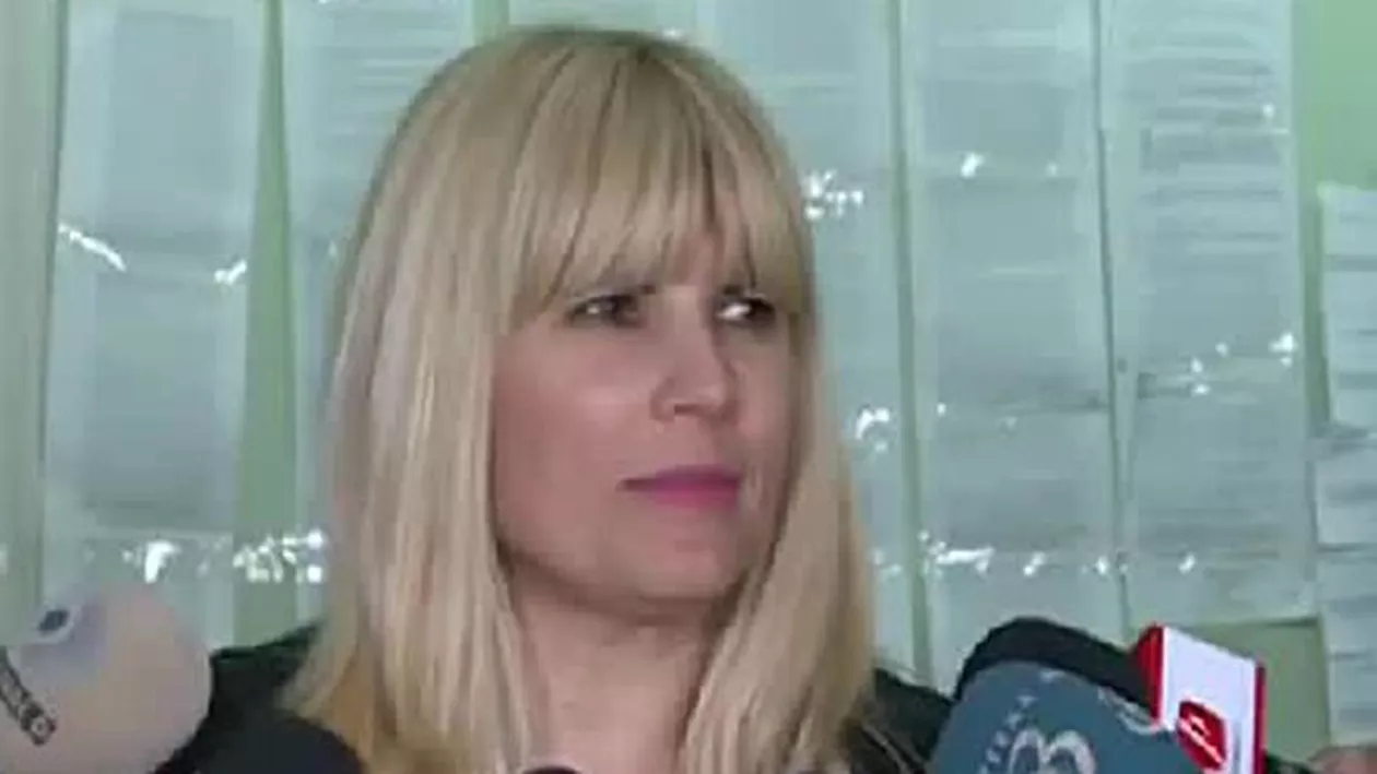 Elena Udrea a cerut ca Predoiu, Boc şi Cocoş să fie audiaţi în procesul „Gala Bute” (VIDEO)