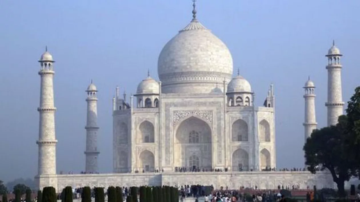 Taj Mahal, sub asediul insectelor: Celebrul monument se colorează în verde (FOTO)