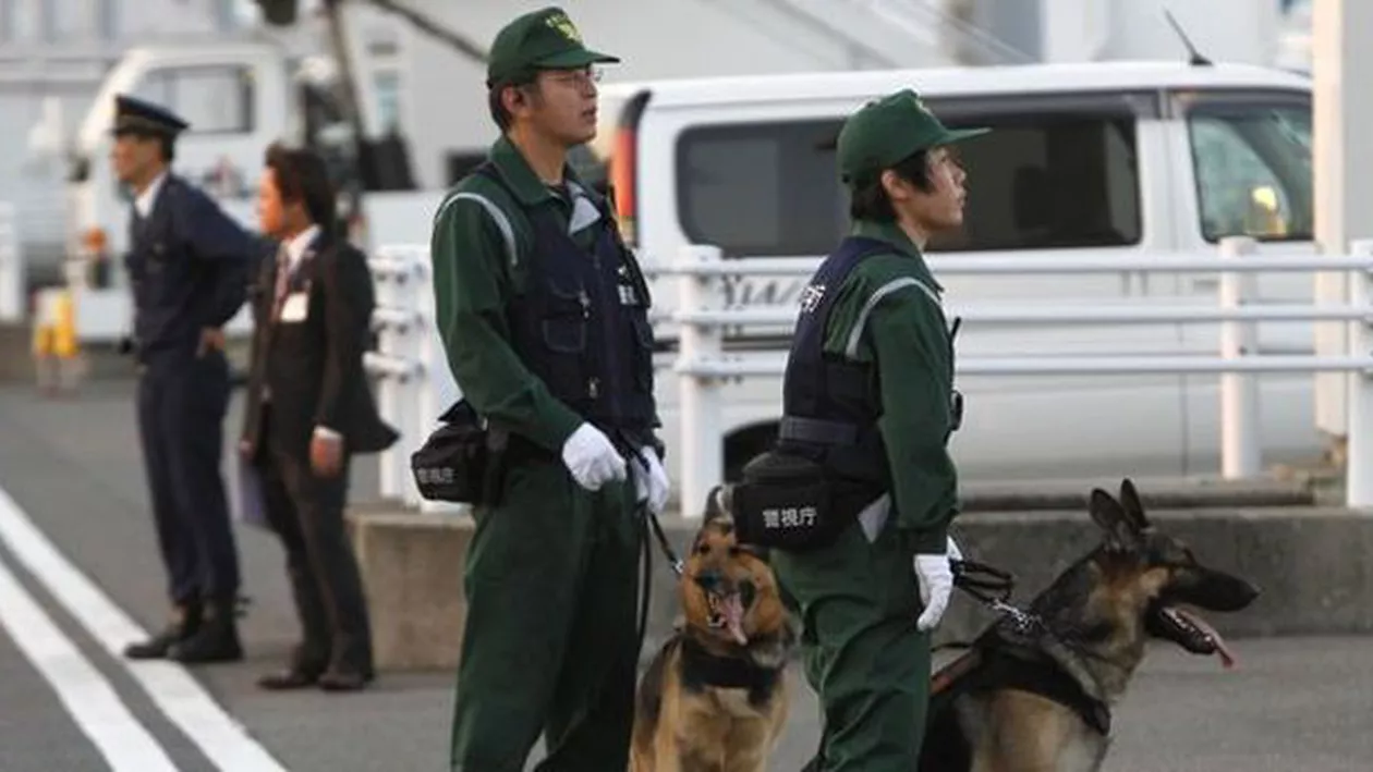 Japonia: Copilul de șapte ani, dispărut în pădure de şase zile, a fost găsit de un soldat