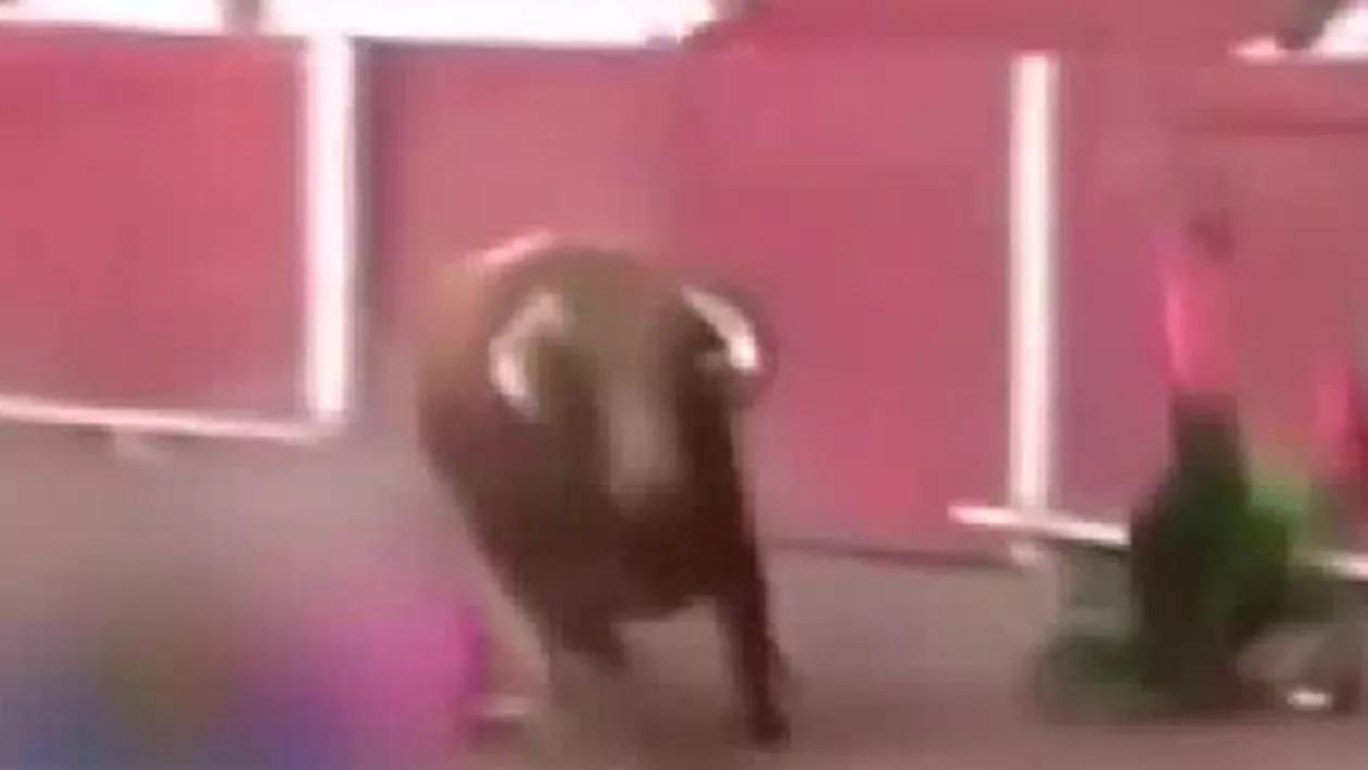 Un matador veteran a murit răpus de taur în arenă (VIDEO)