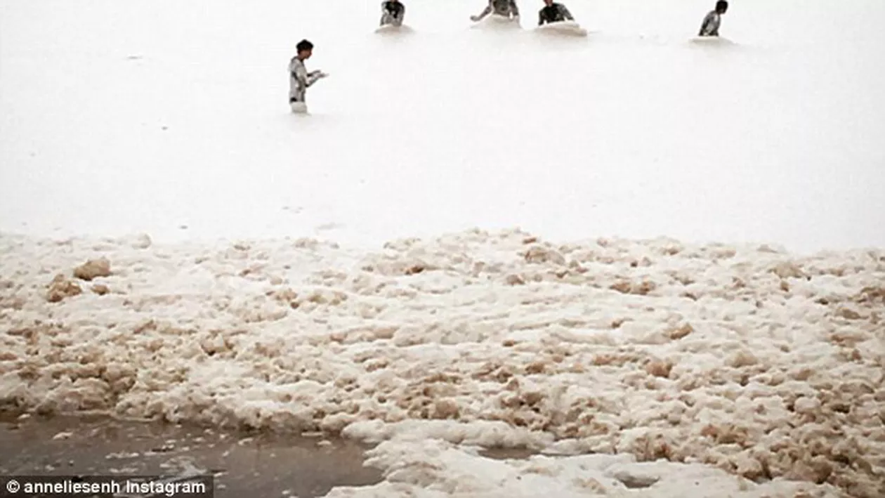 Pericol de contaminare în Australia! Oamenii au fost avertizați să nu intre în apă (FOTO, VIDEO)