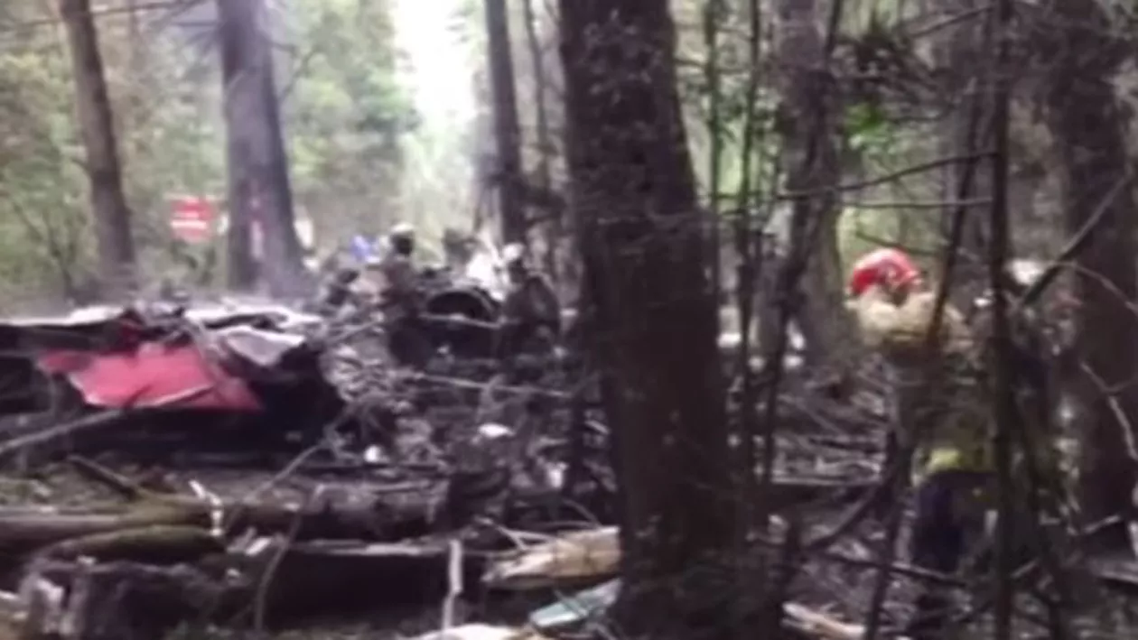 Tragedie aviatică lângă Moscova. Pilotul unui aparat de zbor de mici dimensiuni, mort în urma impactului cu solul (VIDEO)