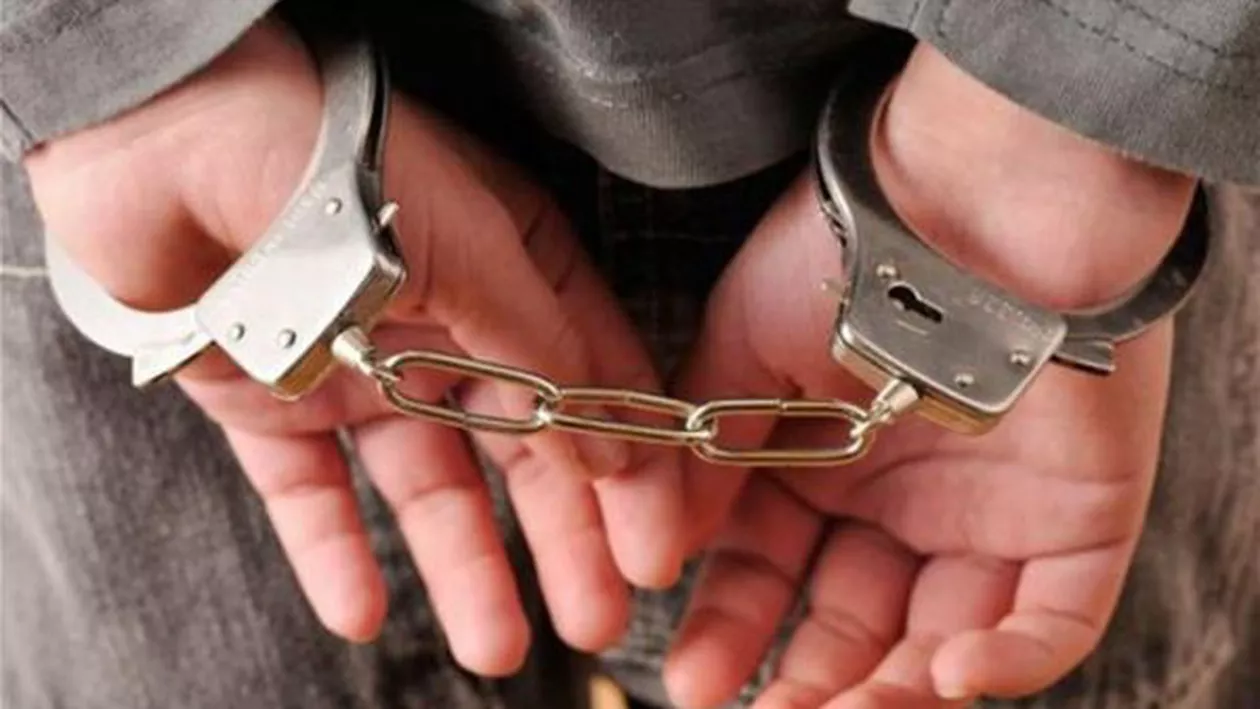 Managerii de la "Alexandru Trestioreanu" și "Bagdasar Arseni" au fost arestați preventiv. Dan Strada și Bogdan Păltineanu, acuzați de corupție și luare de mită