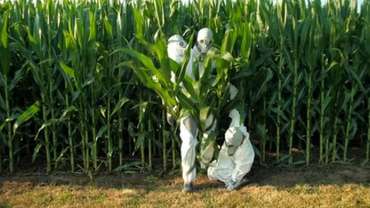 Oficial american: Pentru SUA este inacceptabil sistemul UE de protecție a produselor tradiționale. Organismele modificate genetic sunt o soluție pentru hrănirea populației