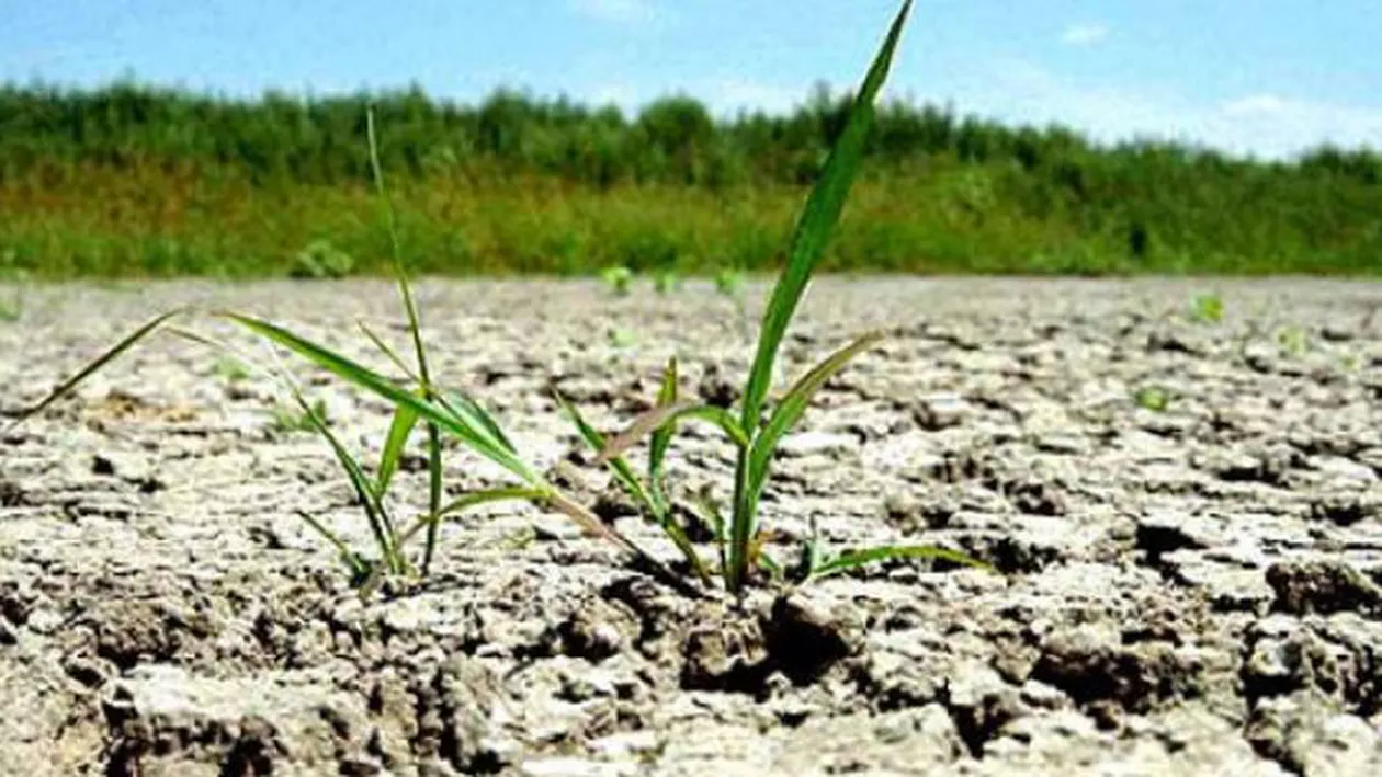 Temperaturi peste medie şi secetă. Prognoza meteo pe 3 luni