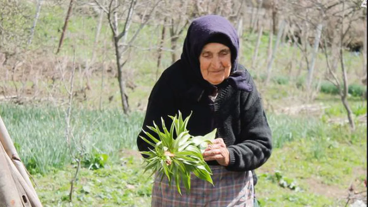 O bătrânică de 79 de ani, păcălită de escroci prin metoda  „Accidentul”