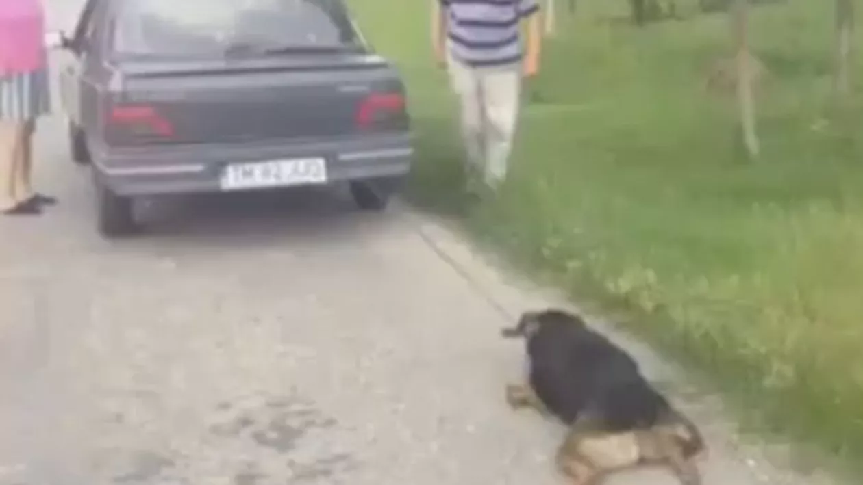 Imagini scandaloase: Cum au chinuit doi pensionari un câine pentru a-l pedepsi (VIDEO)