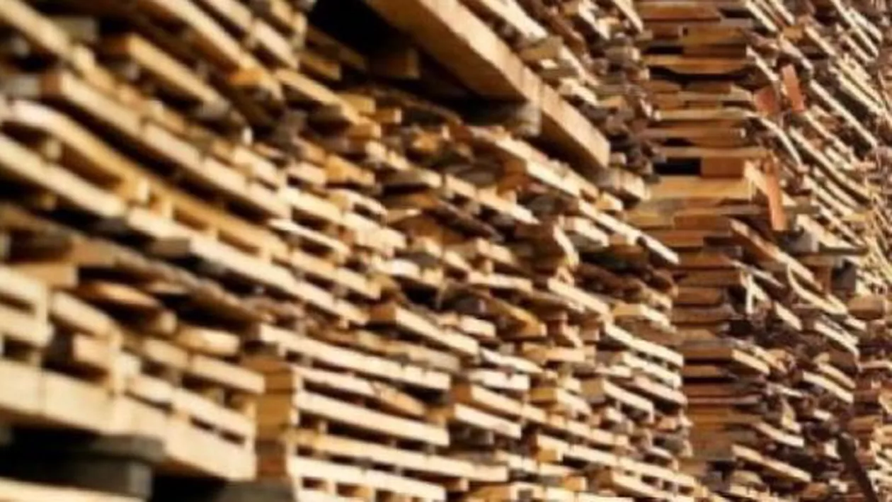 Produsele Schweighofer sunt retrase de pe piața austriacă, dar continuă să fie vândute în România, deși compania a pierdut certificatul de sustenabilitate FSC