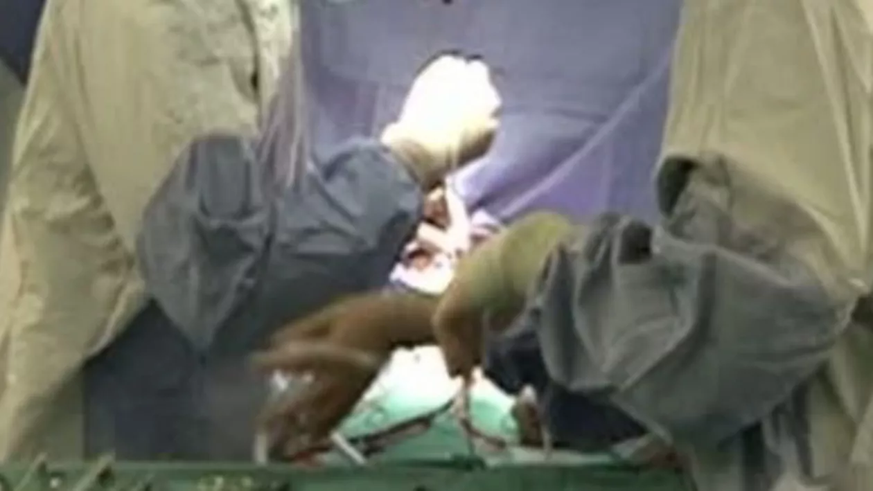 Drama tânărului căruia un medic i-a ars penisul în urma unei intervenții banale continuă: Cazul ieșeanului, ignorat de magistrați