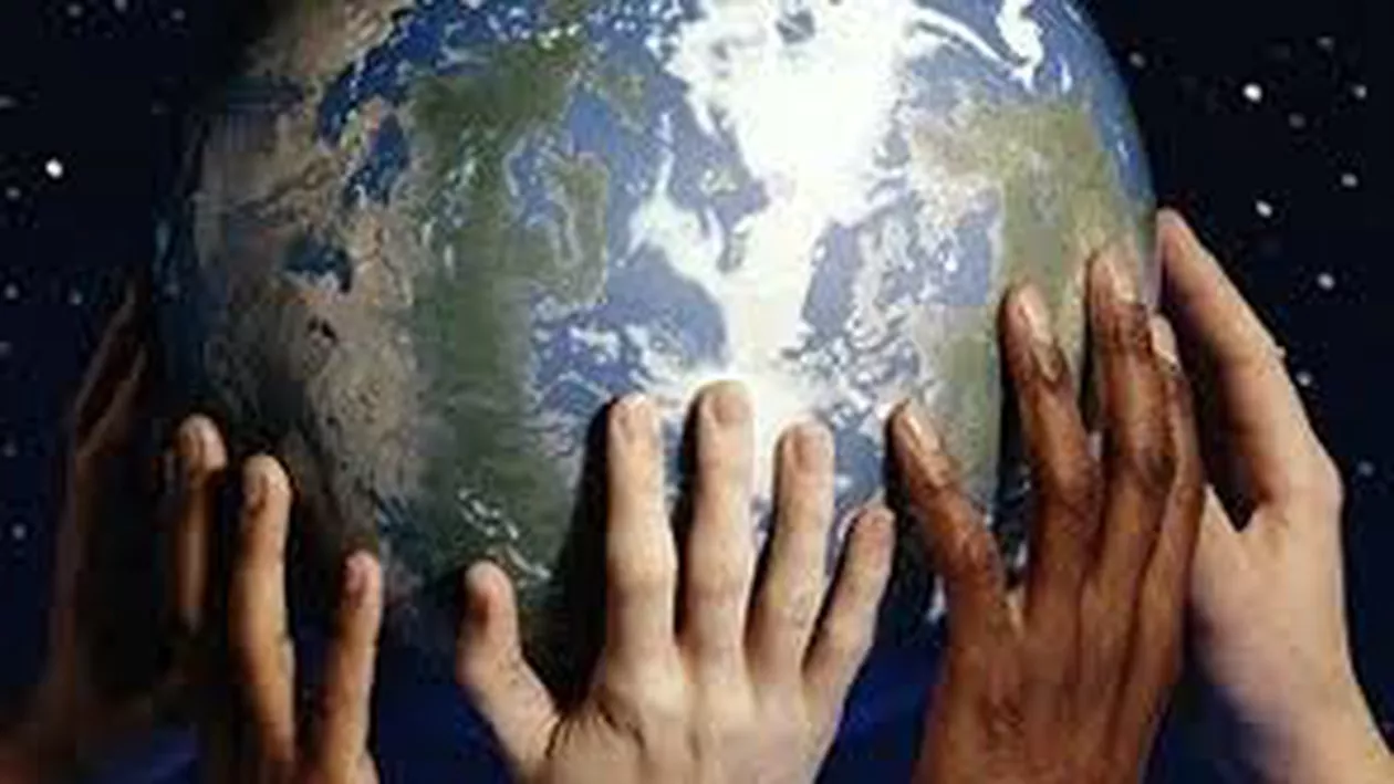 Studiu: Ecosistemele planetei, amenințate de pierderea biodiversității