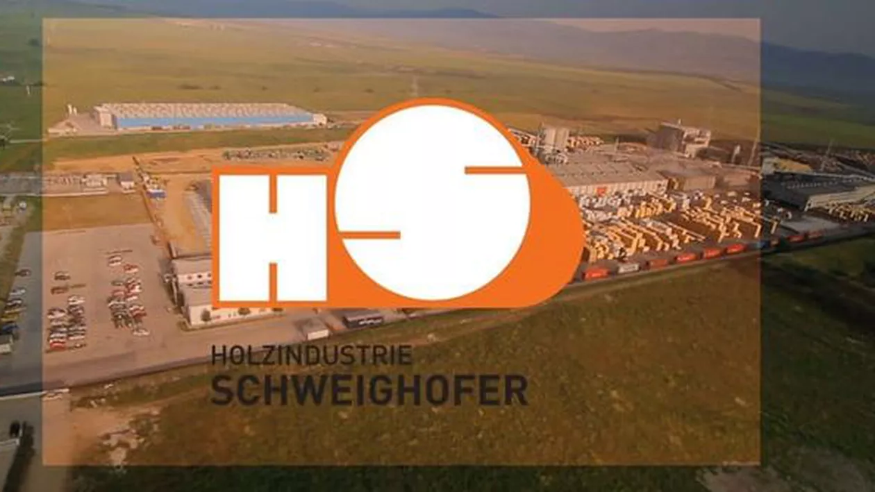 Drept la replică Holzindustrie Schweighofer, în urma publicării unui articol despre defrișările ilegale din Argeș
