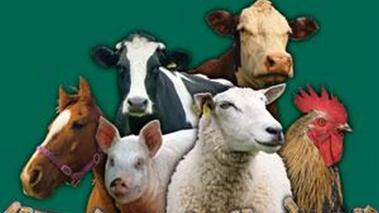 Amendă pentru crescătorii de animale care nu anunță decesul acestora în termen de 24 de ore
