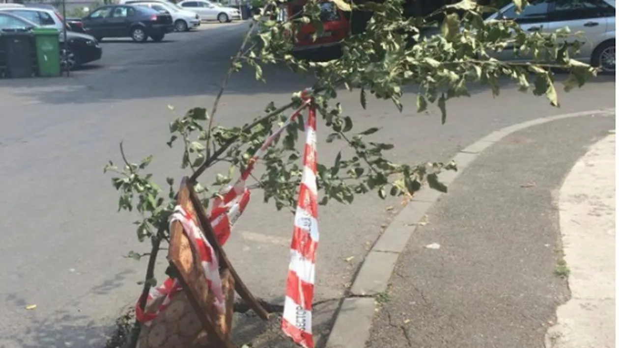 "Lasă, mă, că merge și-așa!" Groapă semnalizată cu un scaun și o creangă de copac, în Capitală. Invenția românească a "rezolvat" problema (FOTO)