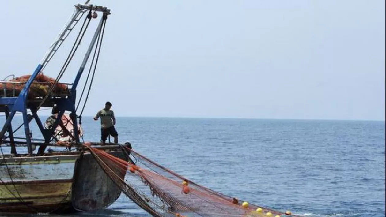 Momente de panică pentru câțiva pescari din Australia. Ce au descoperit bărbații în năvod (VIDEO)