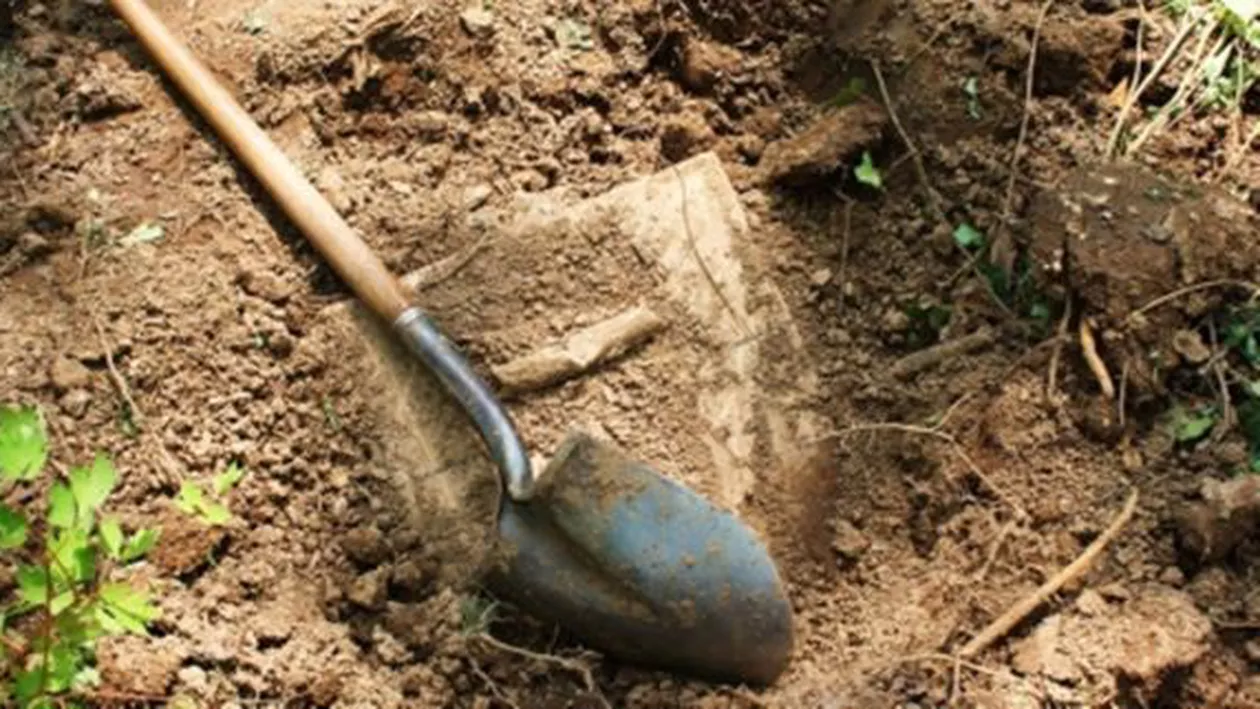 Unei familii din Târgu-Jiu i-au dispărut 29.000 de dolari care erau îngropați în curte. Cine a furat banii