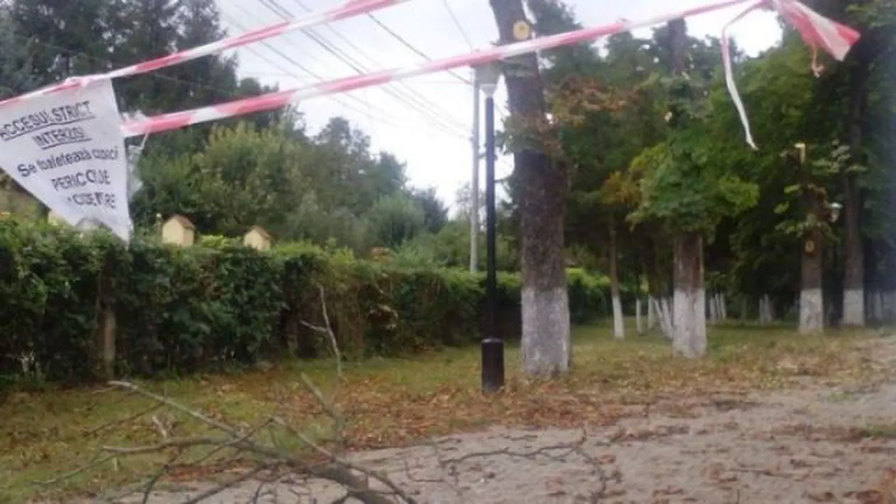 Profesoara din Aiud, lovită de crengile unui copac în timp ce făcea sport în parc, a decedat la spital (FOTO)