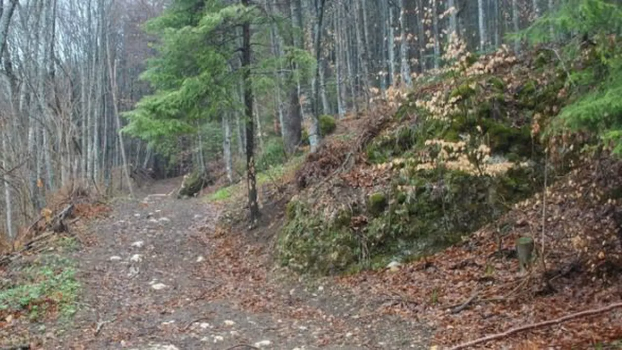 Un bărbat din Turda s-a spânzurat în pădure, după o ceartă cu nevasta