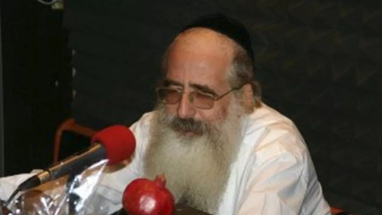 Rabinul şef al comunităţii evreieşti din România: Nu aş vrea să fiu în pantofii politicianului care va lua aceste decizii. Pericolul ca etosul Europei să se schimbe este foarte mare