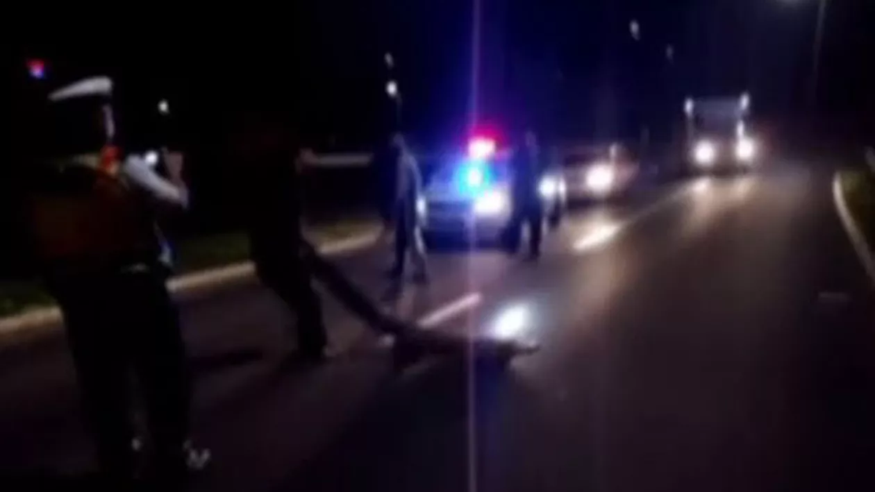 Ceea ce pare glumă, adesea e adevăr. Un aligator se plimba pe o șosea. Un șofer a crezut că este vorba despre o farsă (VIDEO)