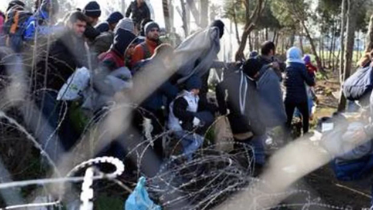 Timiş: 14 migranţi, printre care opt copii, descoperiţi după ce au intrat ilegal în ţară