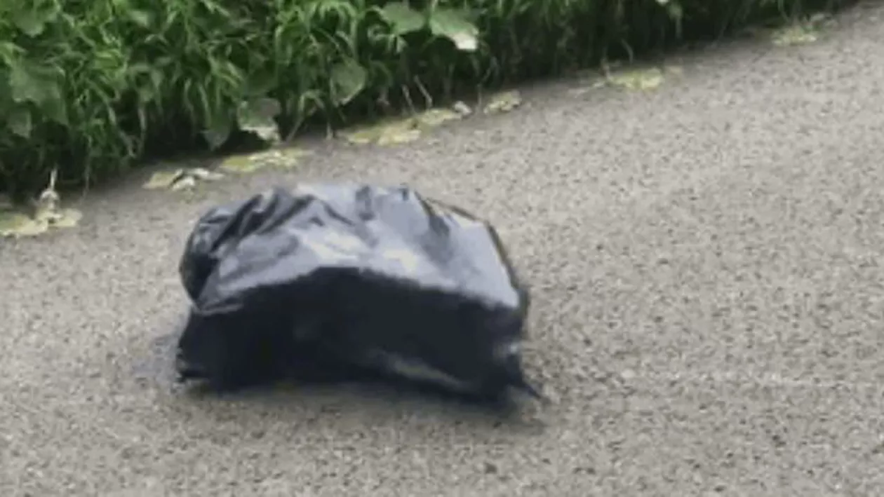 Destin dramatic pentru un cățeluș abandonat într-o pungă de gunoi. În ce stare se află animalul (VIDEO)