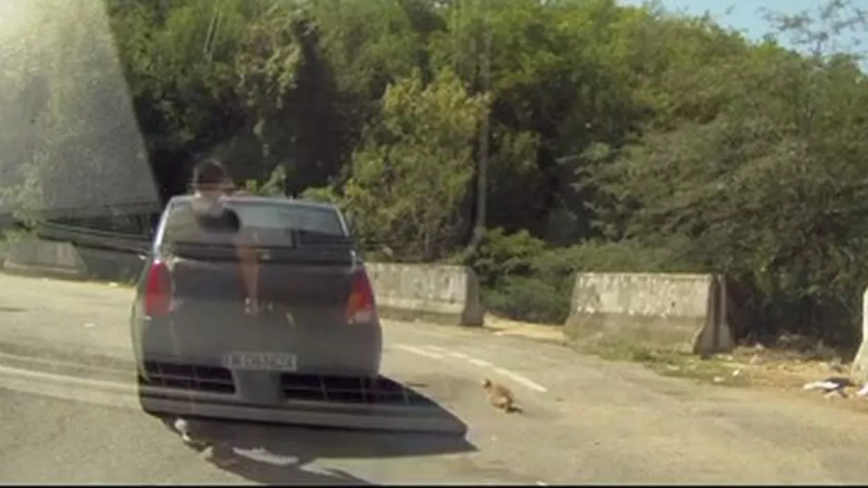 Gest revoltător! Un șofer căra în portbagajul mașinii doi pisoi, pe care i-a abandonat într-o parcare (VIDEO)