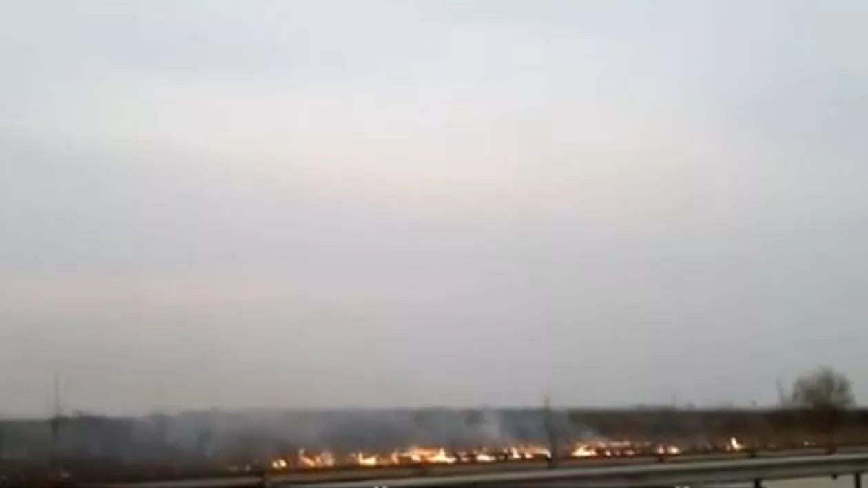 Probleme pe autostrada București-Pitești: Un incendiu de vegetație a făcut ca traficul rutier să se desfășoare cu dificultate (VIDEO)