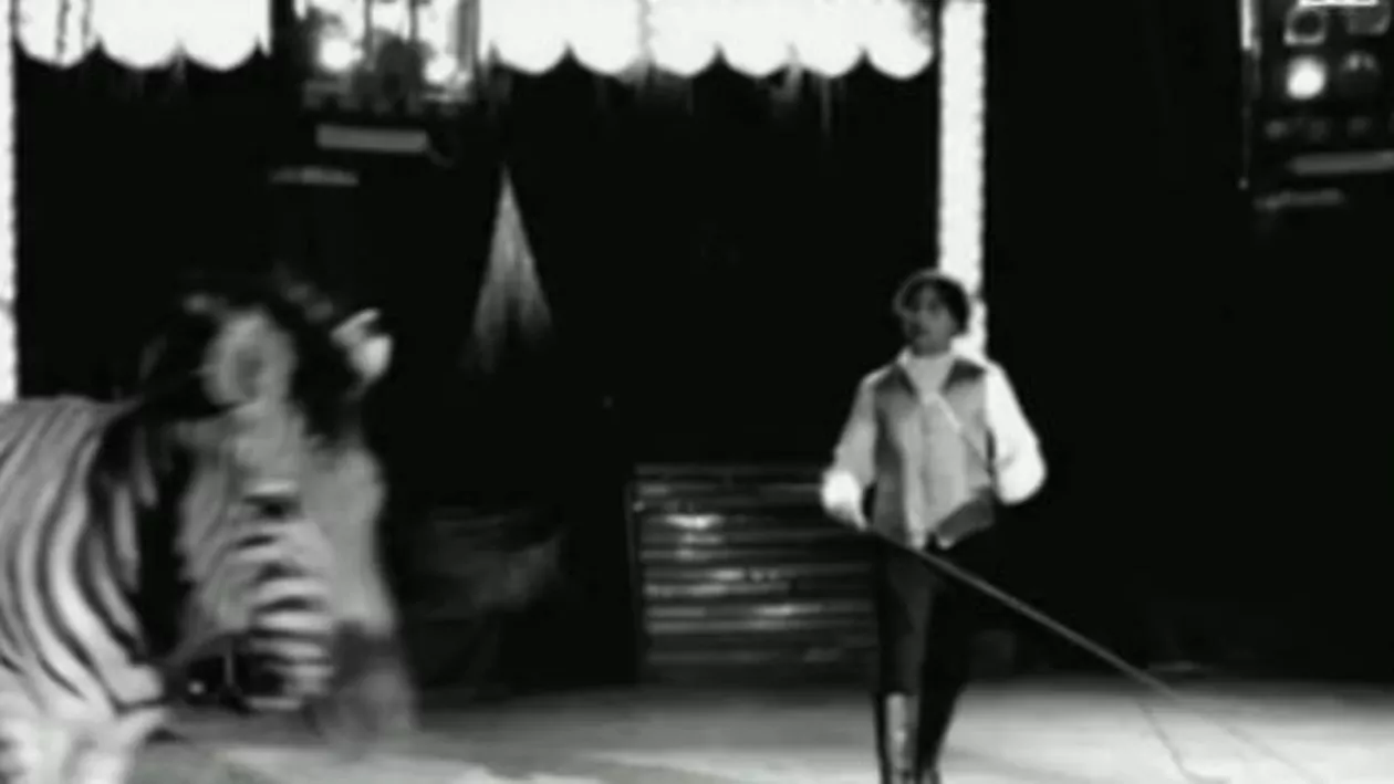 Acuzații grave în Italia: Trei români ar fi implicați într-o crimă din răzbunare (VIDEO)