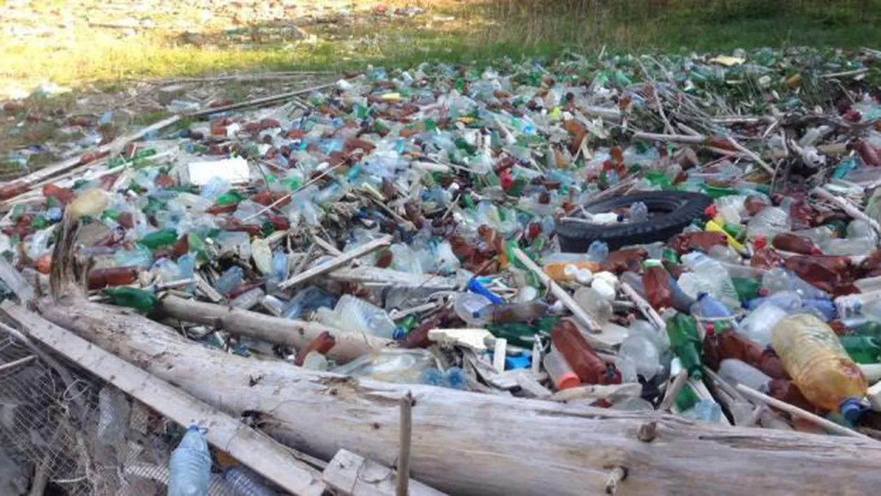 Reacția rușinoasă a unor săteni față de o acțiune de ecologizare: Voluntarii, înjurați, amenințați cu bătaia și alungați pentru că nu au curățat și bălegarul din curțile oamenilor (FOTO)