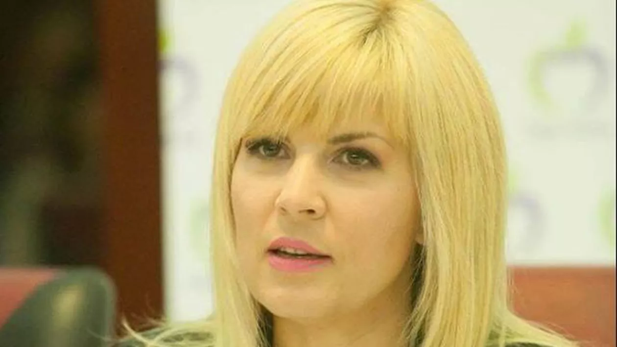 Proiect de lege inițiat de Elena Udrea: Persoanele care nu fac denunț în trei luni de la comiterea faptei nu pot să mai scape de răspundere penală (VIDEO)