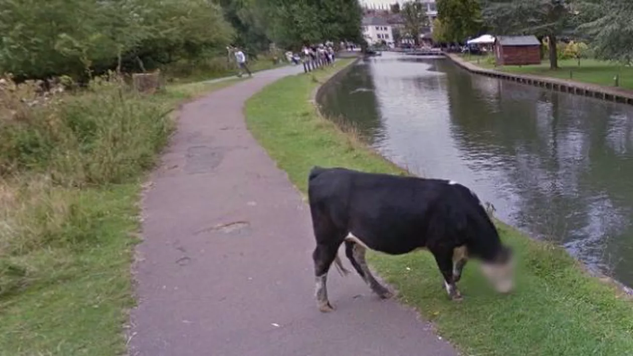Imagini hilare de pe Google Street View: “Se pare ca sistemul nostru automat a cam exagerat”