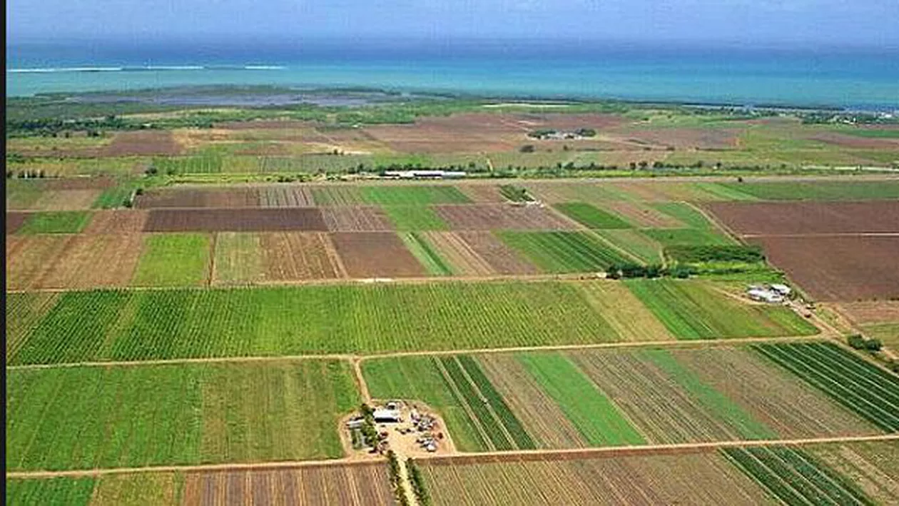 Proiect de lege: Străinii nu vor mai avea posibilitatea să cumpere în România decât cel mult 50 de hectare de teren agricol