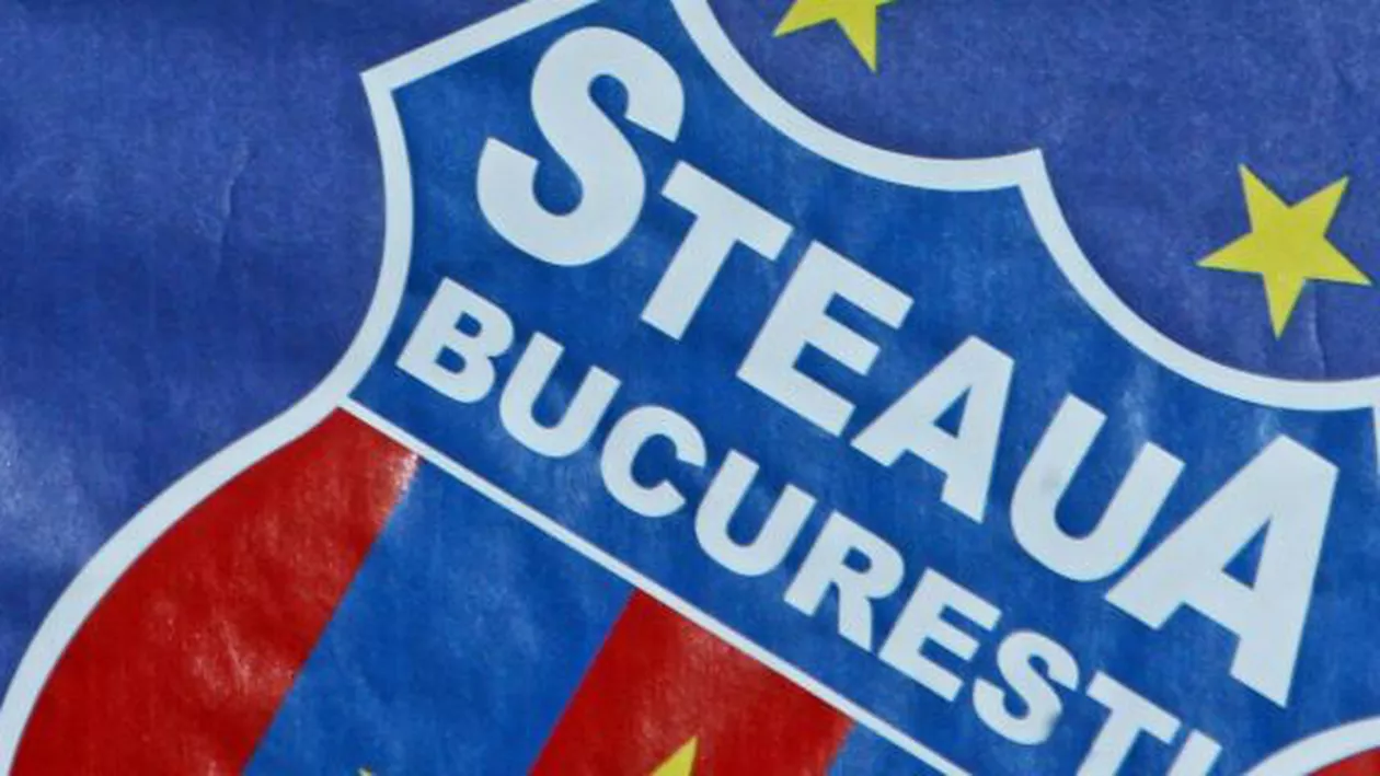 Marca Steaua, scoasă la licitație de Guvern. Gigi Becali: Eu nu dau atâția bani pe marcă (VIDEO)