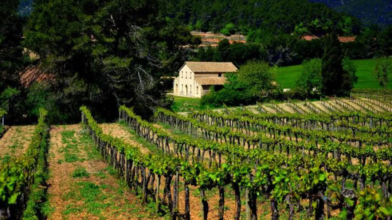 Se caută angajați pentru cel mai ciudat loc de muncă al zilelor noastre. Doar în Evul Mediu se mai întâlnea așa ceva