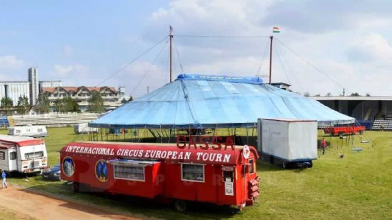 Fotbaliști înlocuiți de clovni și animale: Stadionul pe care Unirea Urziceni câștiga campionatul a devenit casă pentru un circ (VIDEO)