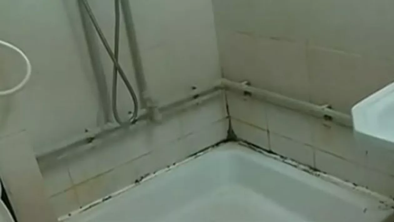An nou, probleme vechi: Studenţii de la Universitatea Ovidius din Constanţa se plâng că sunt nevoiţi să stea în camere cu gândaci şi mobilier uzat (VIDEO)