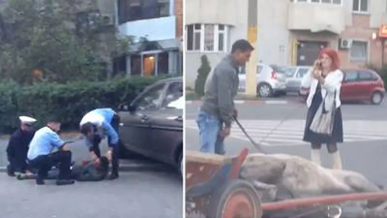 Cruzime fără margini în Constanța: Un cal ce zăcea lovit la pământ a fost bătut cu bestialitate de stăpân (VIDEO)