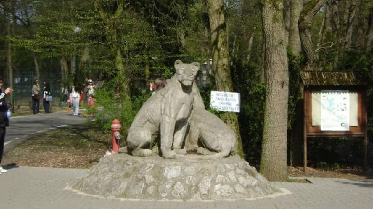 Grădina Zoologică din Târgu Mureș a primit animale pe cale de dispariție (FOTO)