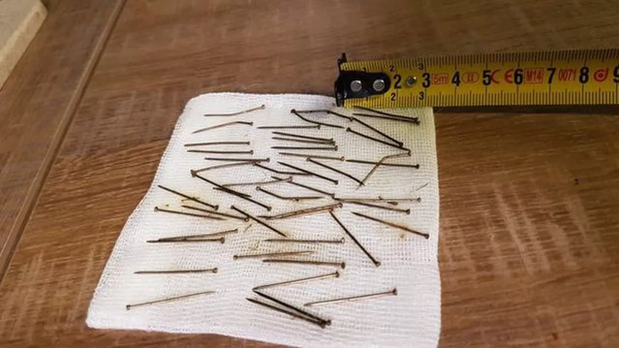De neimaginat! O cățelușă a fost salvată de medicii veterinari după ce stăpâna i-a pus ace cu gămălie în mâncare (FOTO)