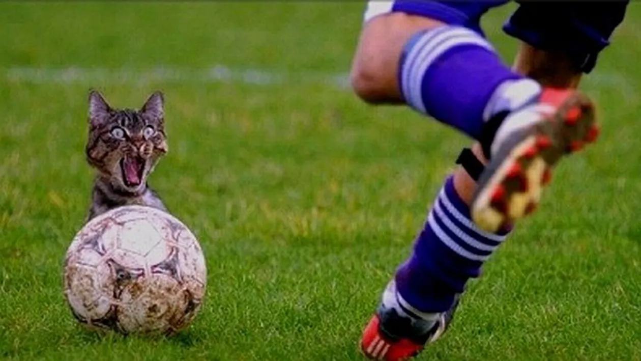 Ne DUBLĂM investiția cu BILETUL ”UN PONT PE ZI”!