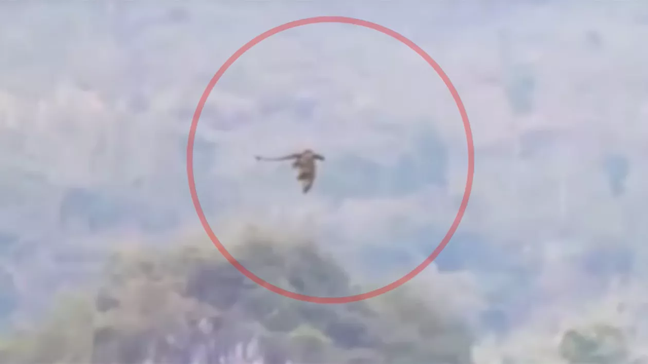 Imagini reale sau făcătură? "Un dragon zburător" a fost zărit deasupra munților Chinei (VIDEO)