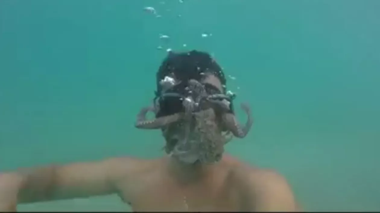 Uimitor! Un bărbat a fost atacat de o caracatiță în timp ce înota (VIDEO)
