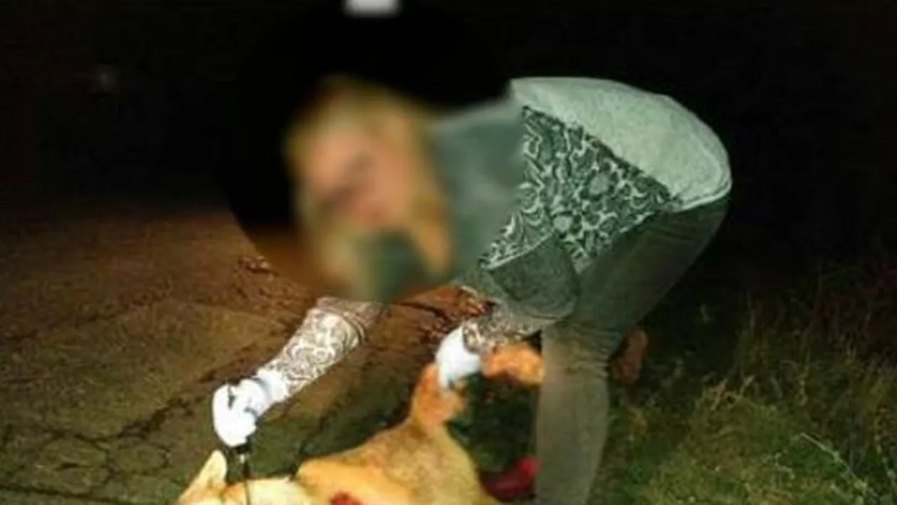 „Nu se poate așa ceva, ce suflet să ai!” Imagini TERIFIANTE cu o vulpe jupuită pe viu (FOTO)