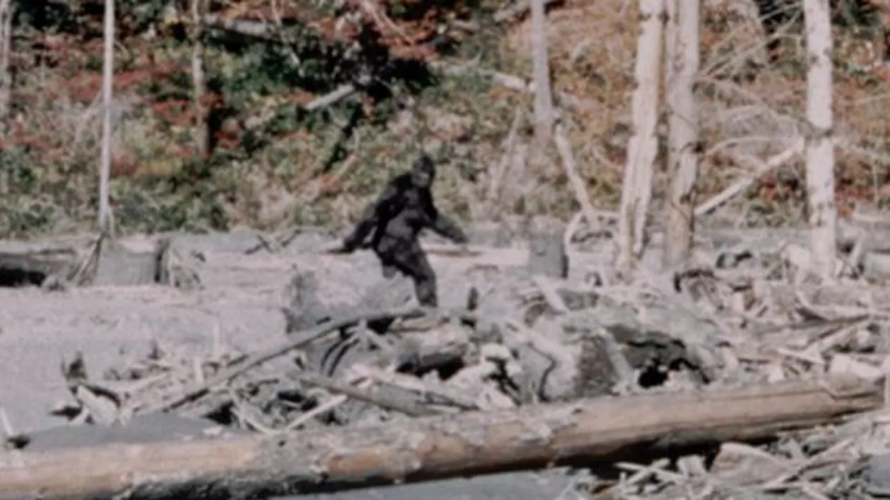 BIGFOOT a fost filmat! Imaginile cu YETI sunt ÎNSPĂIMÂNTĂTOARE! (VIDEO)