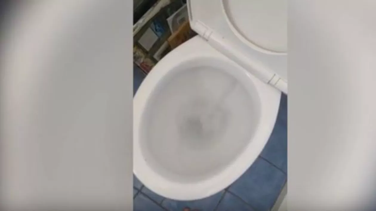 Momente de COŞMAR în propria casă: Vezi ce descoperire GROAZNICĂ a făcut un bărbat în baia sa (VIDEO)
