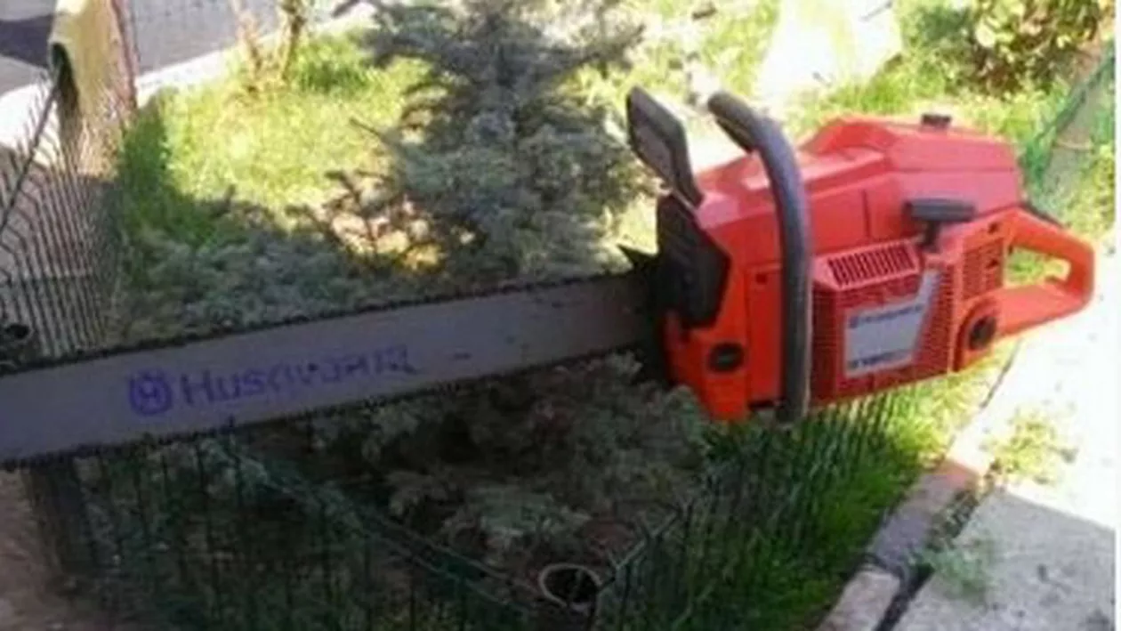 Un bărbat din Iaşi şi-a secţionat PENISUL cu o DRUJBĂ